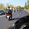 IMG_1529-min