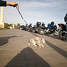 IMG_20231007_150631_568-min