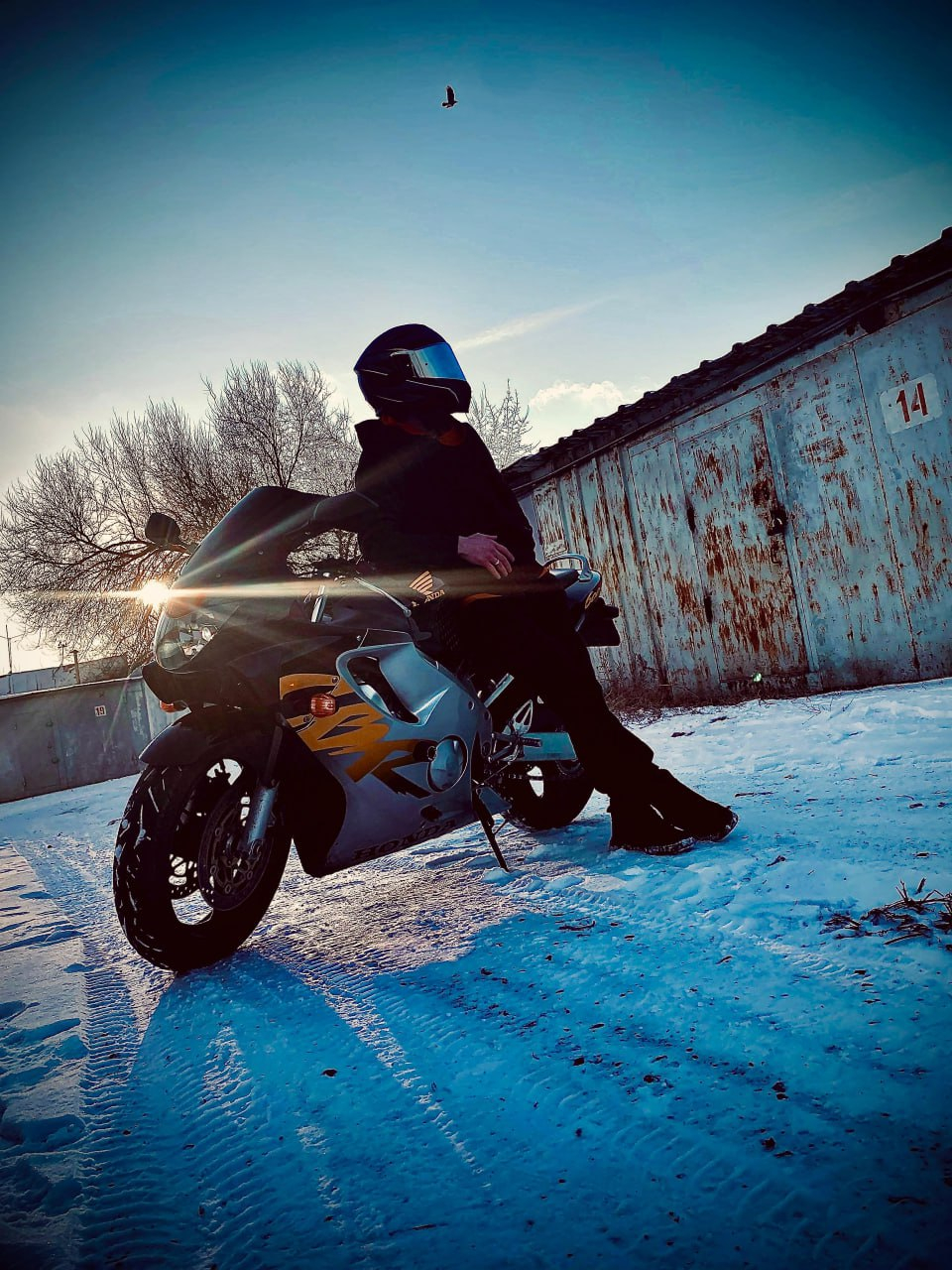 photo